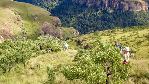 Porcupine Ridge Guest House - Sabie Heart of the Panorama