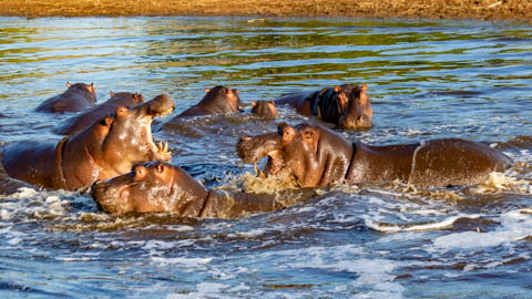 Porcupine Ridge Guest House - Kruger National Park